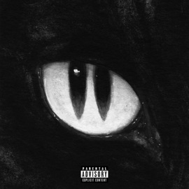 BLACK CAT FREESTYLE 2 (feat. hogbeatz) MASQUE