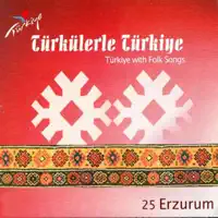 Adalardan Ciktim — Aysun Gültekin