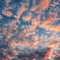 Cielo - Single - Yoni La Voz