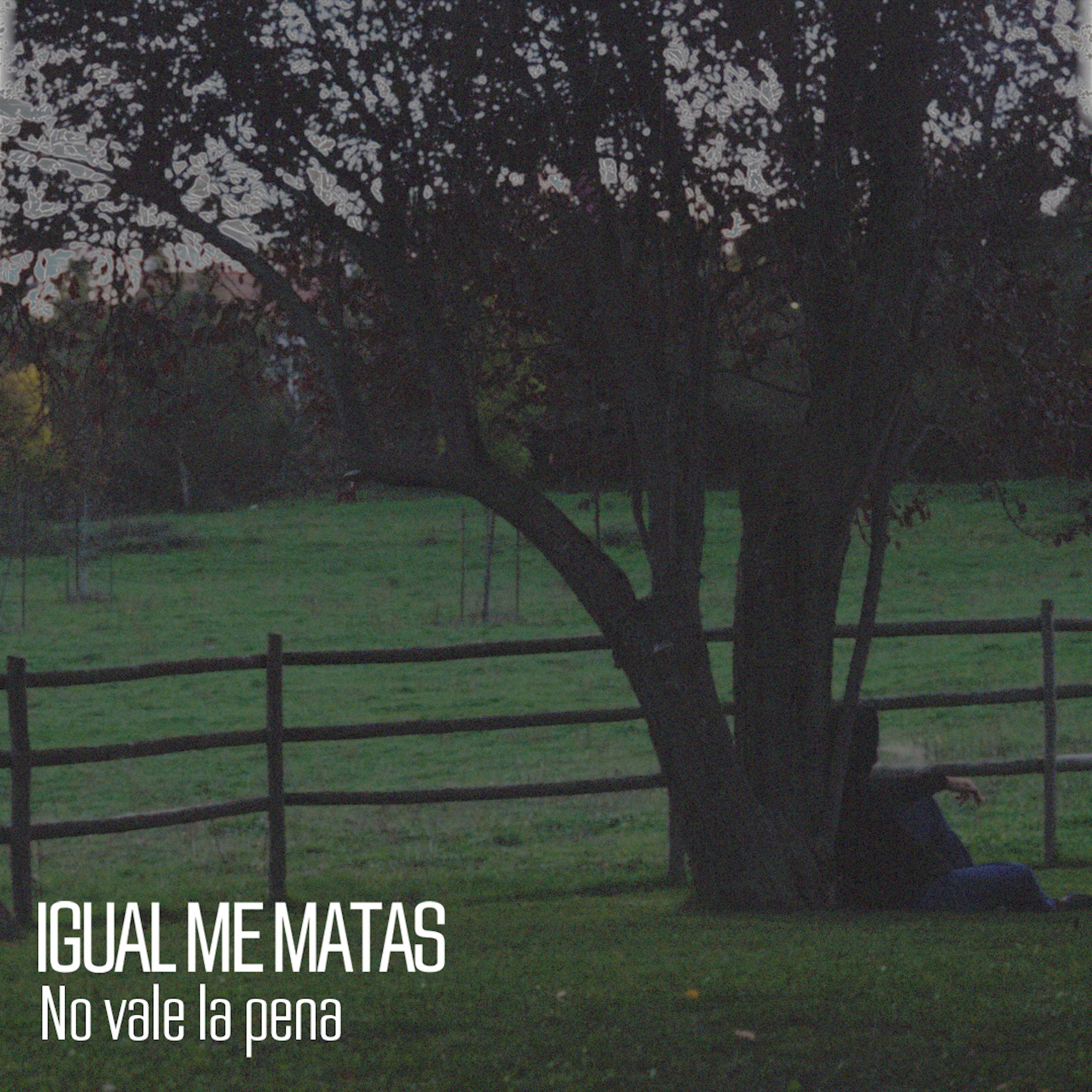No Vale La Pena - Single