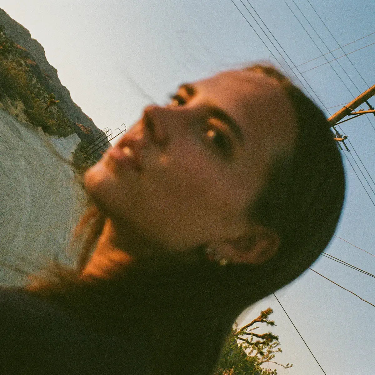 Frances Whitney – Old Hobbies (2024) [iTunes Plus AAC M4A]-新房子