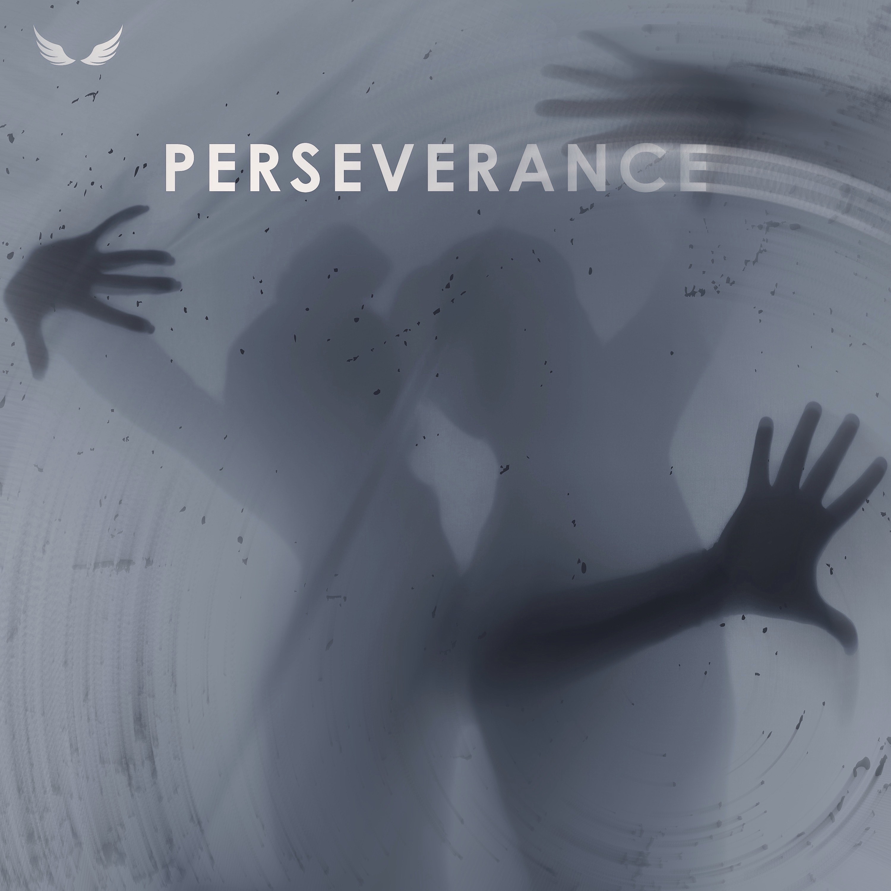 Perseverance - Single