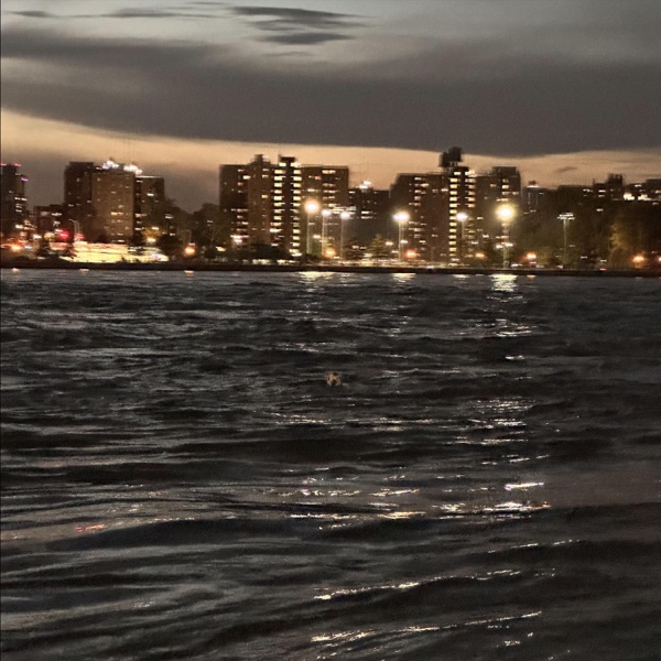 Waves - Single