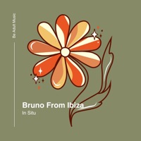 In Situ - Single - Bruno from Ibiza