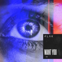 Want You - Single - FLAK