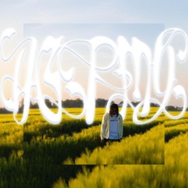 Dont Go Thru My Phone ! Leeno Numbers