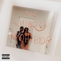Amor Prohibido - Single - Gypsy La Fe & TanG Moobb
