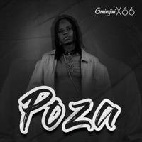 Poza - Single - GENIUSJINI X66