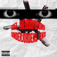 UNDERJORDENS EKO - Single - Swaii & OB1WAN