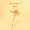 Rays of the Sun