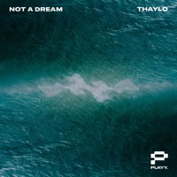 Not A Dream (Extended Mix) - Single - Thaylo