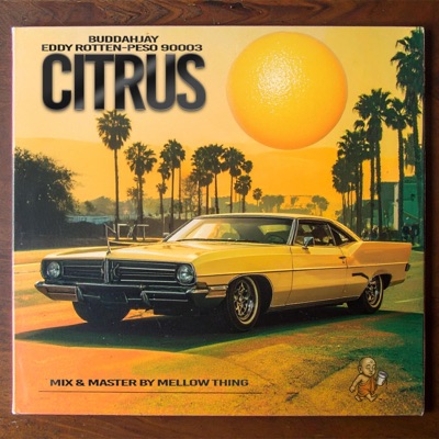 CITRUS (feat. Eddy Rotten & Peso 90003) - Single