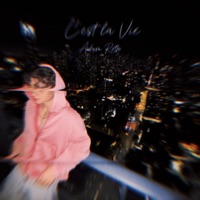 C'est La Vie - Adam Roth