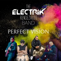 Perfect Vision (feat. Gamaliel Ortiz, Elias Tona, Carmelo Medina & Luis Alicea) - Single - The Electrik Rendezvous