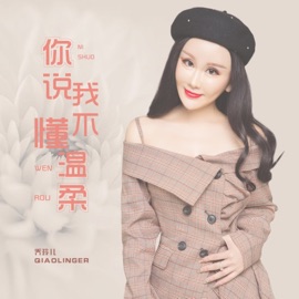 你说我不懂温柔 (DJ版伴奏) 乔玲儿