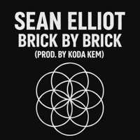 Brick by Brick - Single - Sean Elliot