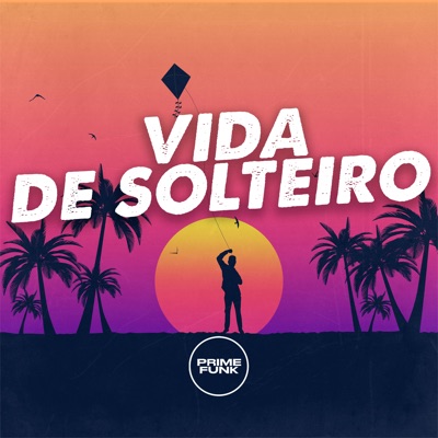 Vida de Solteiro (feat. Prime Funk) - Single