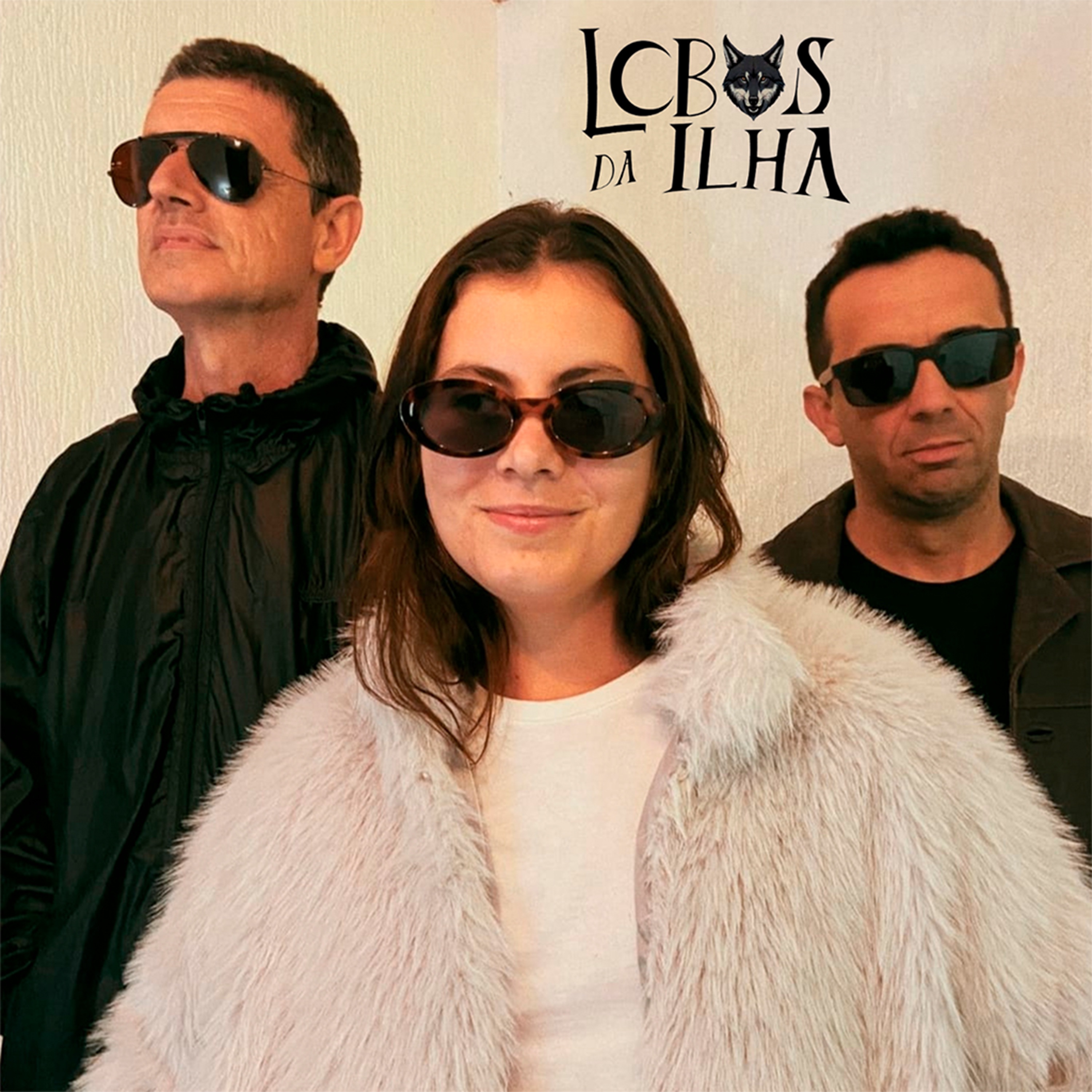 Lobos Da Ilha - A Praia