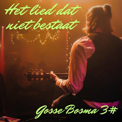 Het Lied Dat Niet Bestaat - Single