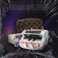Cashflow - Single - 2or