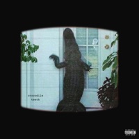 Crocodile Teeth - Single - WKDAIZ