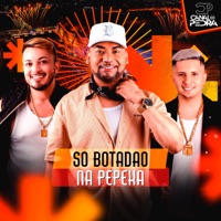 Só Botadão na Pepeka - Single - O Poder Dos Paredões