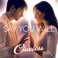 Say You Will