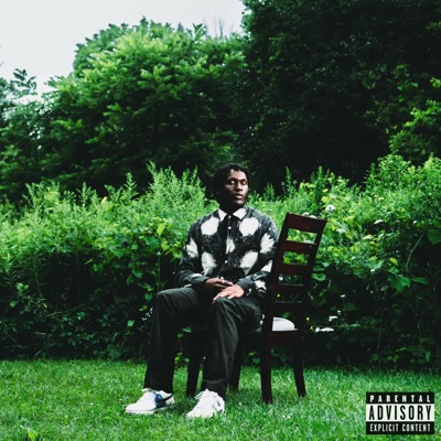 Who Knows (feat. L*a*I*M*S) - Single