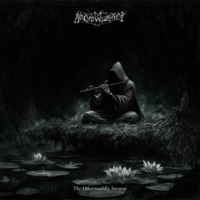The Otherworldly Swamp - EP - NecroWizard