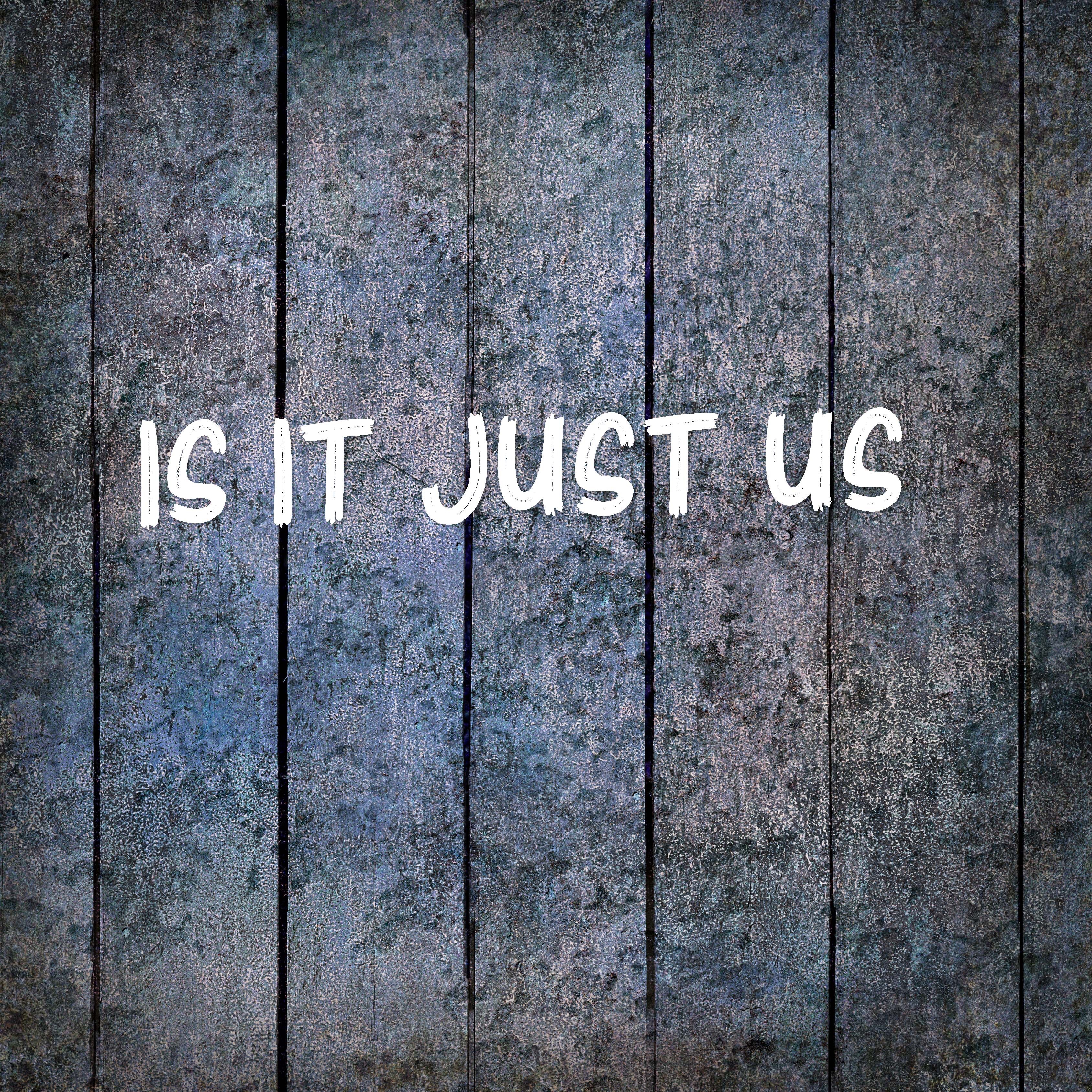 Is It Just Us - Single
