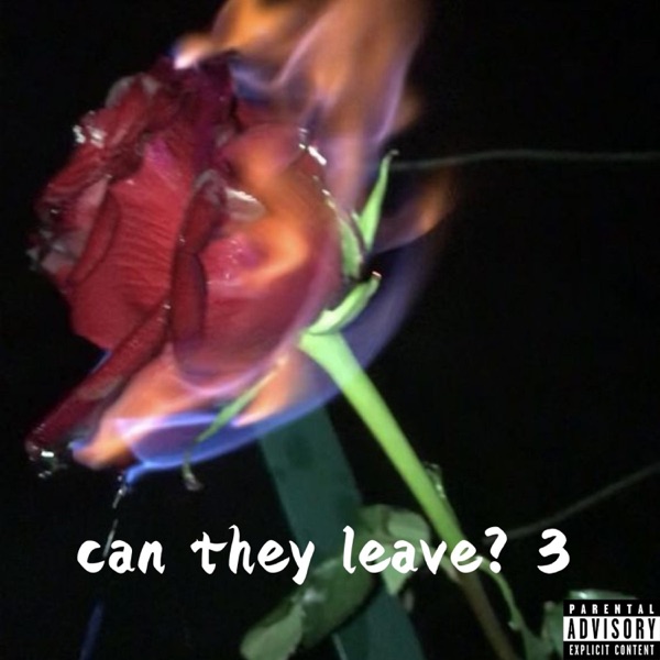 Can They Leave?, Pt. 3