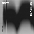 Now Or Never - Single