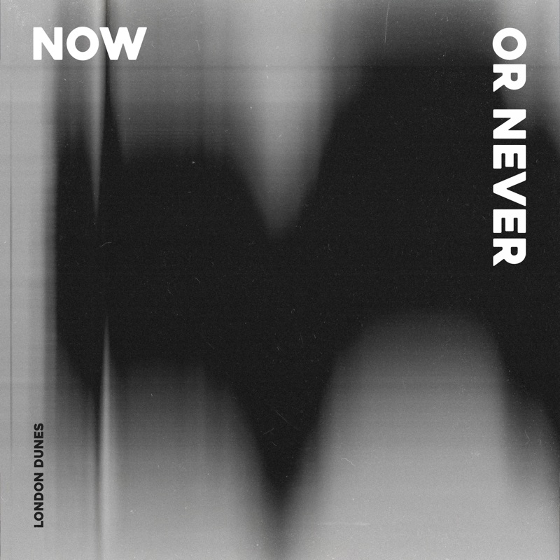 Now Or Never - Single
