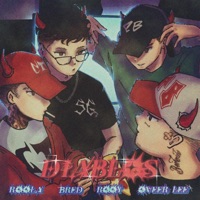 DIABLOS (feat. Oveer Lee, Bred & rooy) - Single - Roola