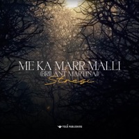 Me ka marr malli (Brilant Martinaj) - Single - Stresi