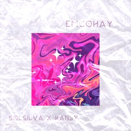 EMCOHAY Solsilva & Kansy