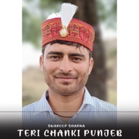 Teri Chanki Punjeb - Single - Swaroop Sharma
