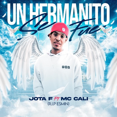 UN HERMANITO SE FUE (RIP ESMIN) (feat. Mc Cali) - Single