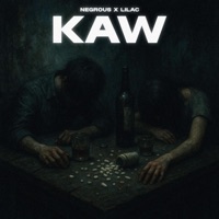 KAW (feat. Lilac) - Single - Negrous