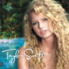 Taylor Swift - Taylor Swift  arte