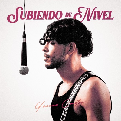 Subiendo De Nivel - Single