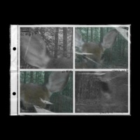 As U Are - Single - Boy Of Eros