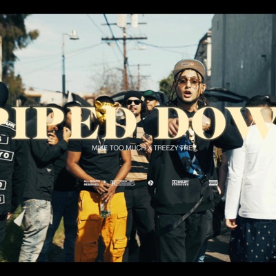 Piped Down (feat. Treezy Trey) - Single