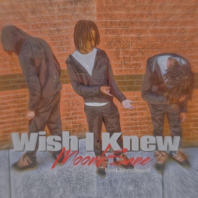 Wish I Knew (feat. lavishned) - Single