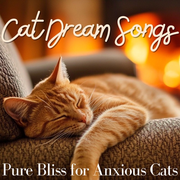 Cat Dream Songs - Pure Bliss for Anxious Cats