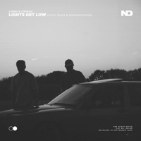 Lights Get Low (feat. Dinia & Menningmann) - Single - Lynnic & ItsArius