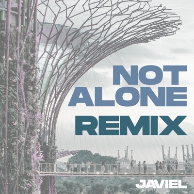 Not Alone (feat. Benjamin Kheng, Evan Low & NDPeeps) - Single
