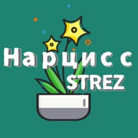 Нарцисс - Single - Strez