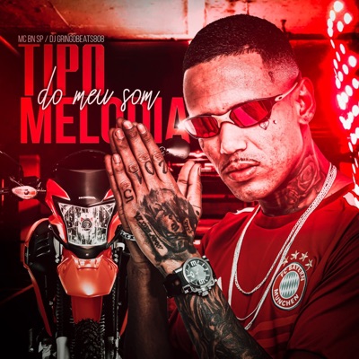 Tipo Melodia do Meu Som - Single