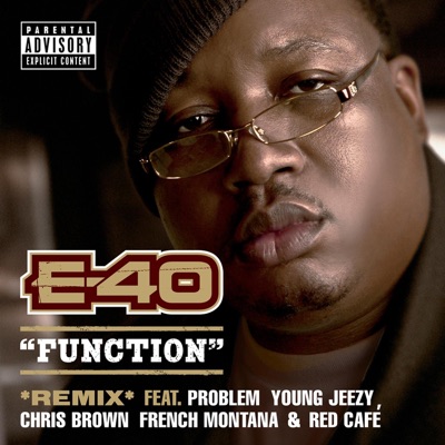 Function (feat. Problem, Chris Brown, French Montana, Red Cafe & Young Jeezy) [Remix] - Single